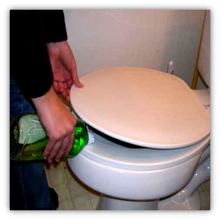 Keep lid down and squirt dishwashing liquid in toilet to reduce surface tension then flush the rat down