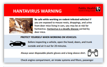 Download a flyer on hantavirus for auto mechanics
