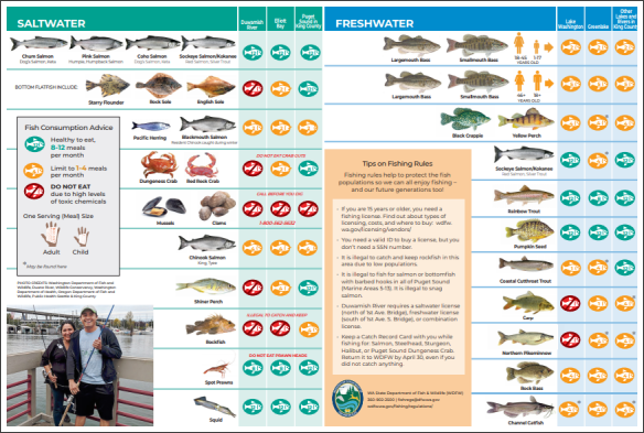King County Guide: Go Fishing for Safe Seafood to Eat
