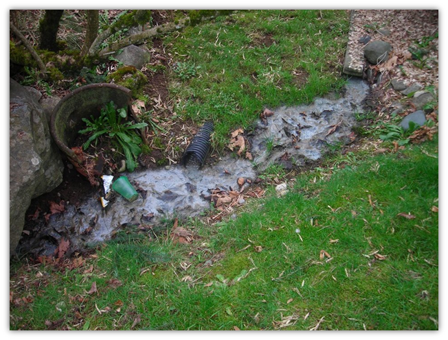 An outdoor sewage spill. Photo by Public Health - Seattle & King County