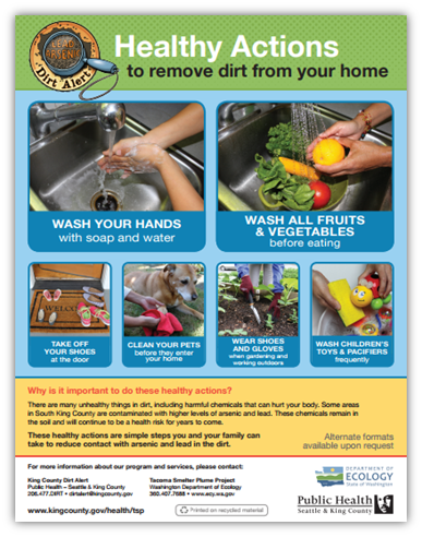 Poster of Healthy Actions to remove dirt from your home.