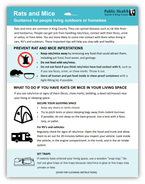 Flyer: Rats and Mice: Guidance for people living outdoors or homeless