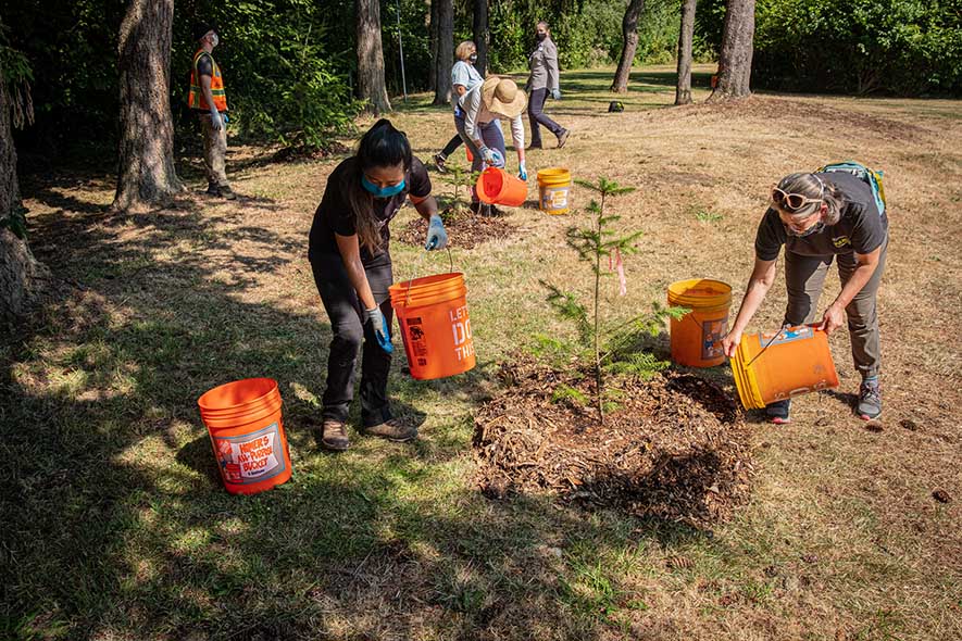 A group of volunteers planting trees