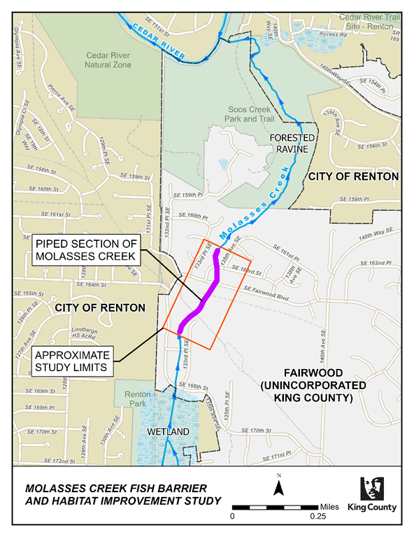 Site map of Molasses Creek Fish Barrier and Habitat Improvement Study