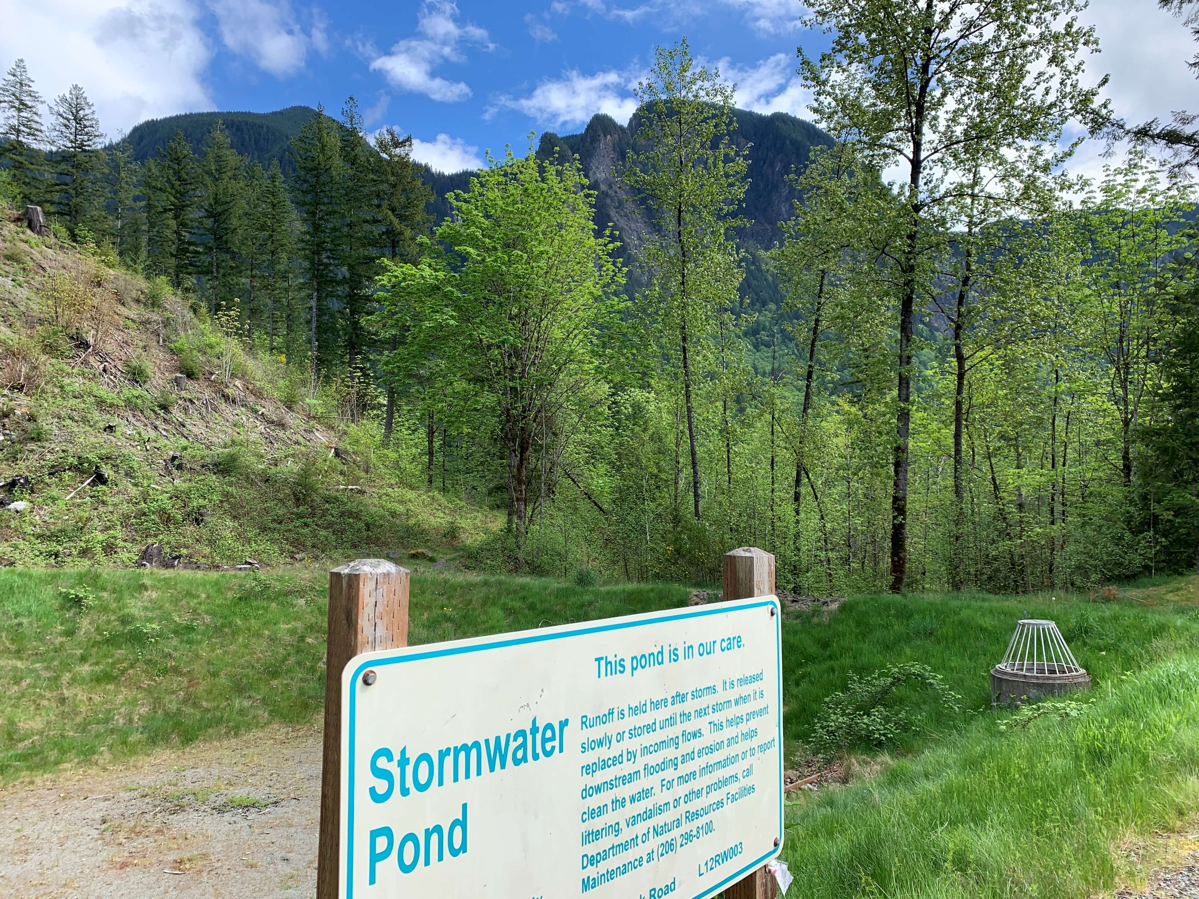 Stormwater facility in North Bend. 