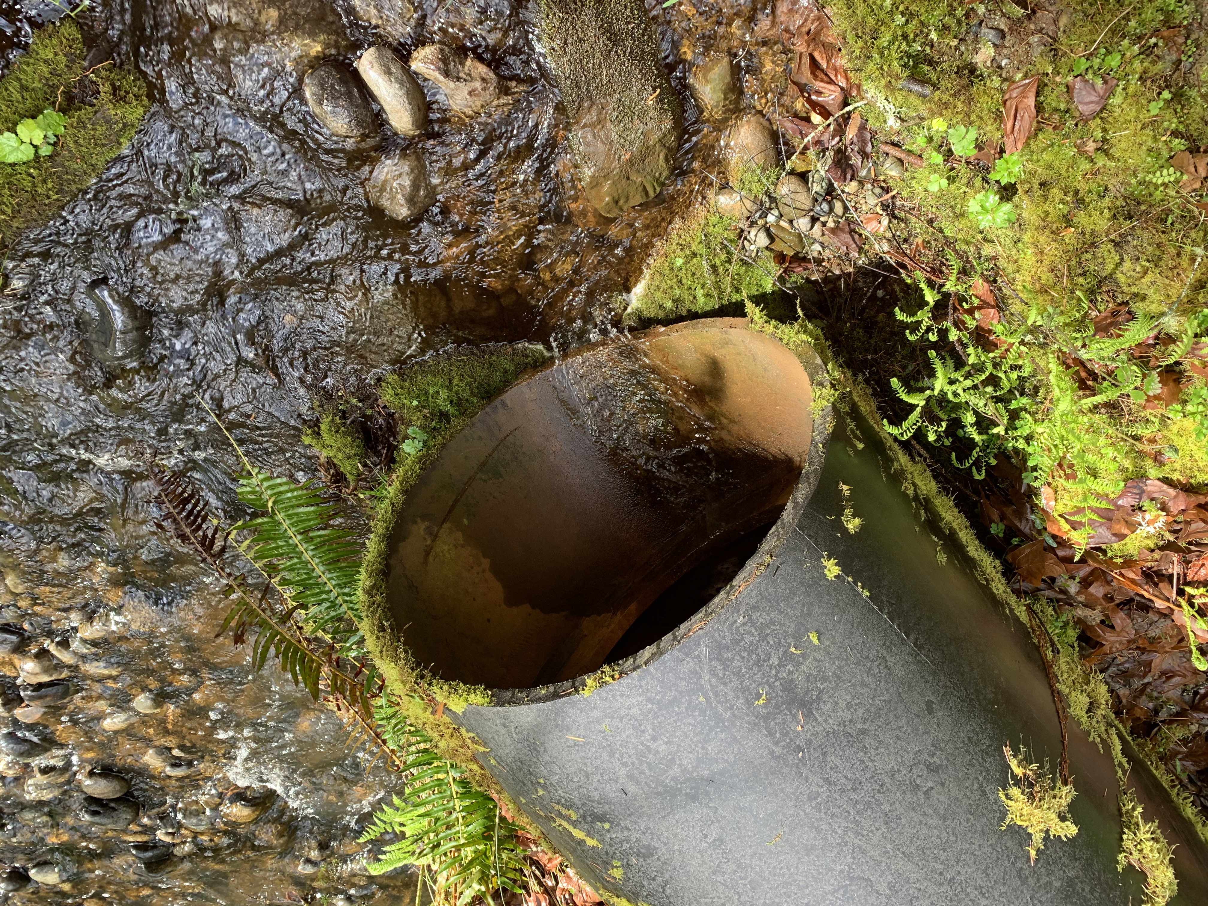 The end of a stormwater pipe.