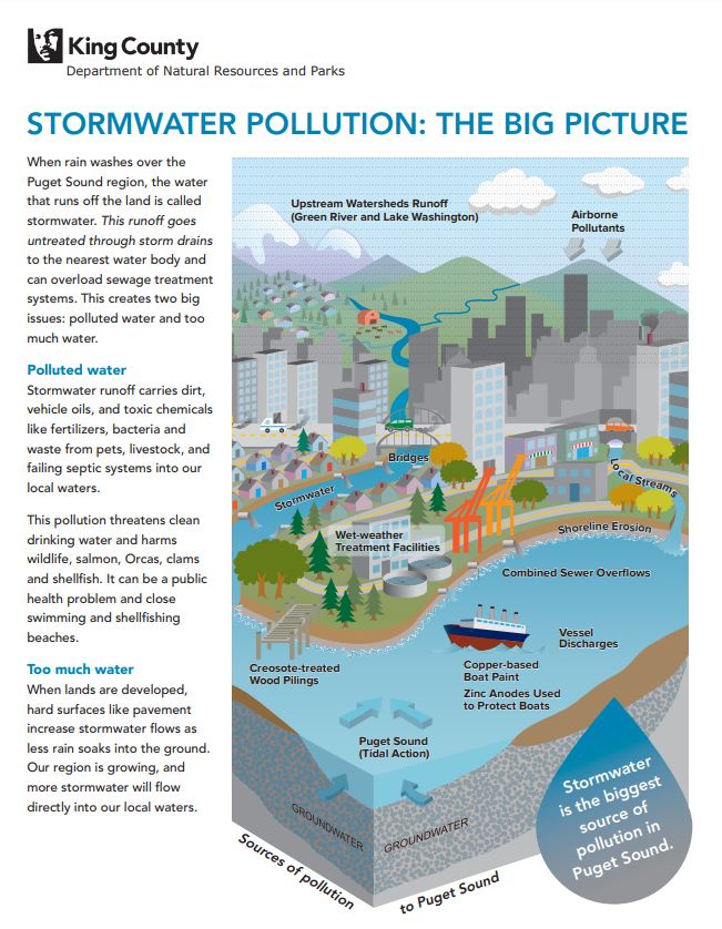 Stormwater pollution, the big picture.