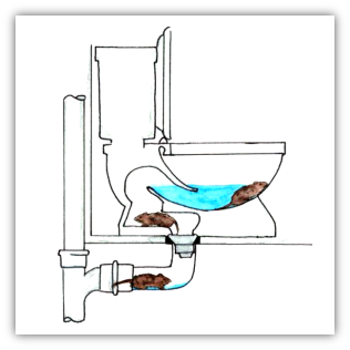 Diagram of how rats travel from sewer systems into a toilet