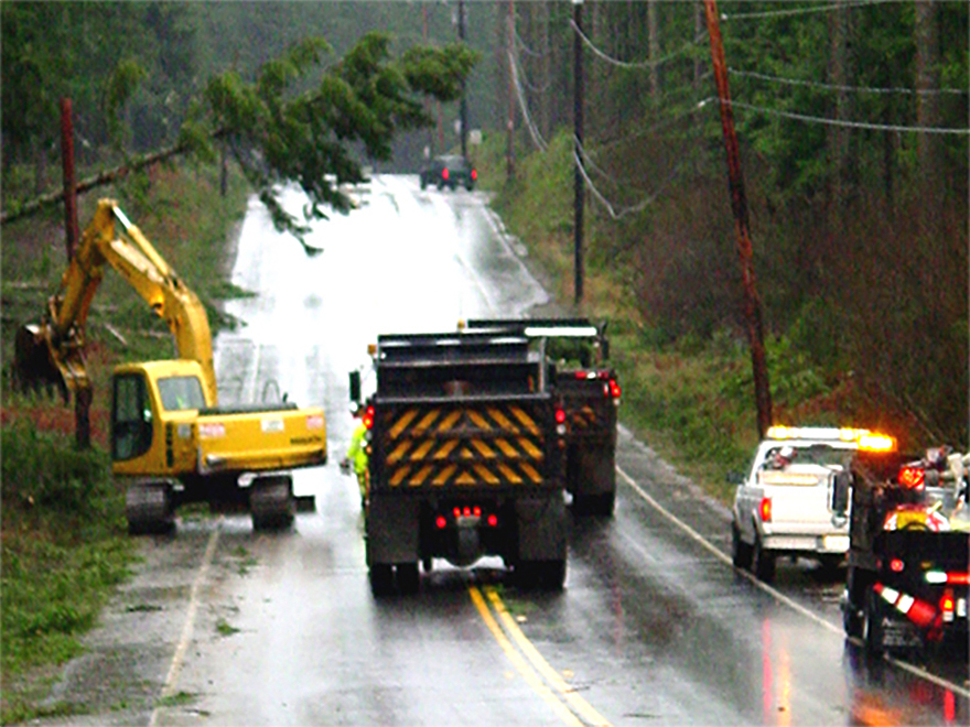 Road maintenance crews responding to down tree following storm in unincorporated King County.