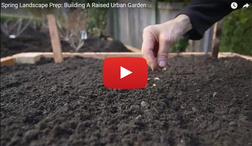 Spring landscape prep: building a raised urban garden
