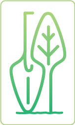 CompostWise logo