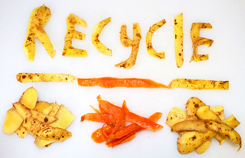 Food recycling: collection and processing