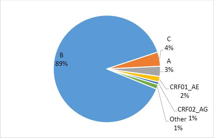 Prevalence of main HIV-1 subtypes