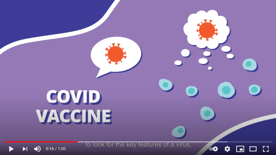 Video: How Vaccines Work in Your Body