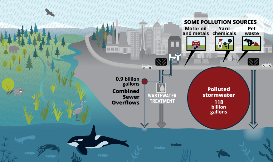 118 billion gallons of polluted stormwater flows untreated into Puget Sound, including 0.6 billion gallons from combined sewer overflows