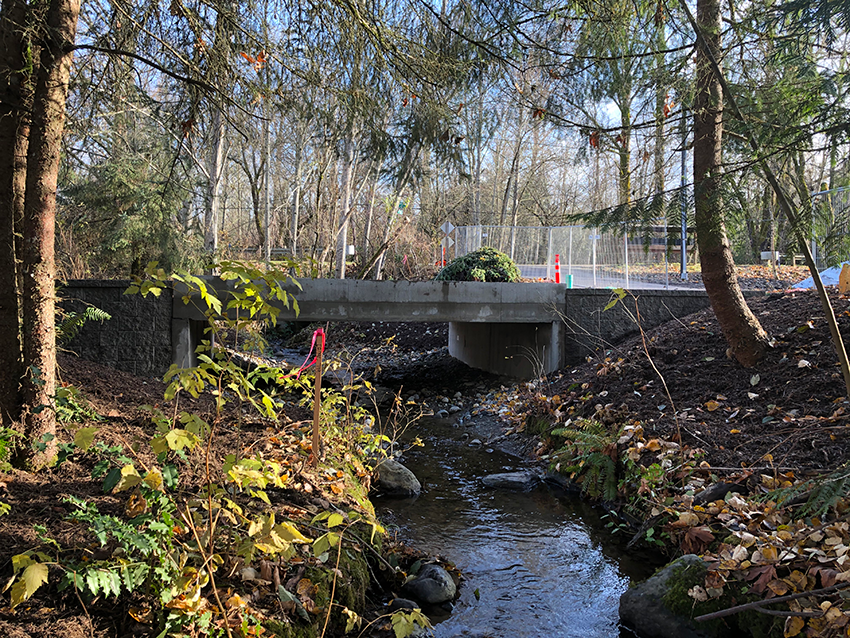 East Lake Sammamish culvert - click or tap for high resolution version