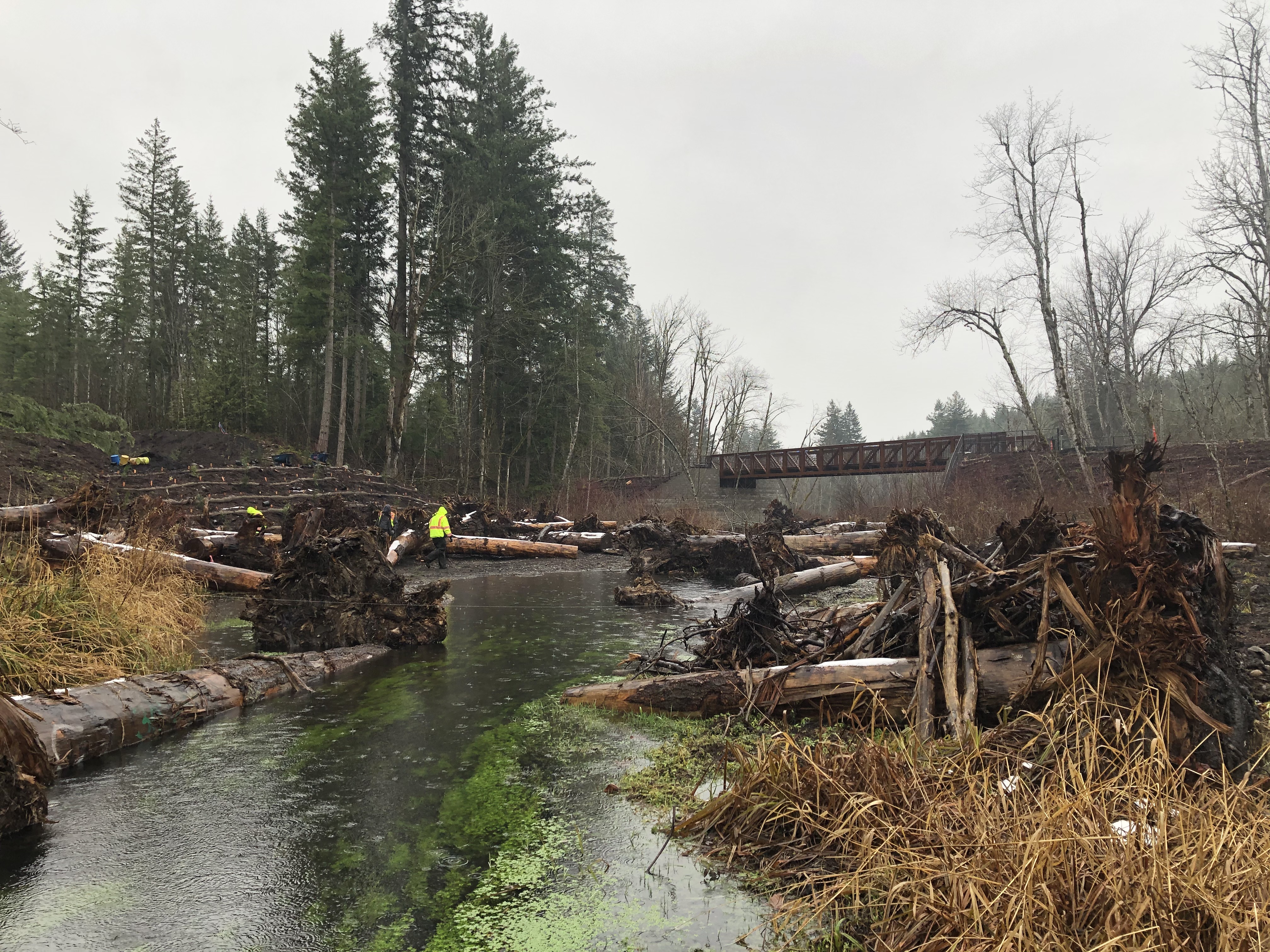 Ravensdale fish habitat after - click or tap for high resolution version