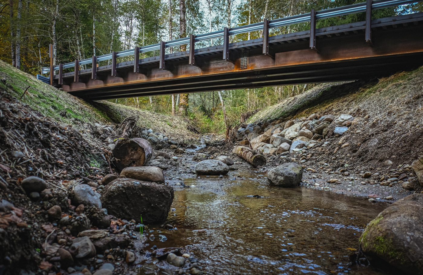 A bridge passes over a stream that salmon can swim up.