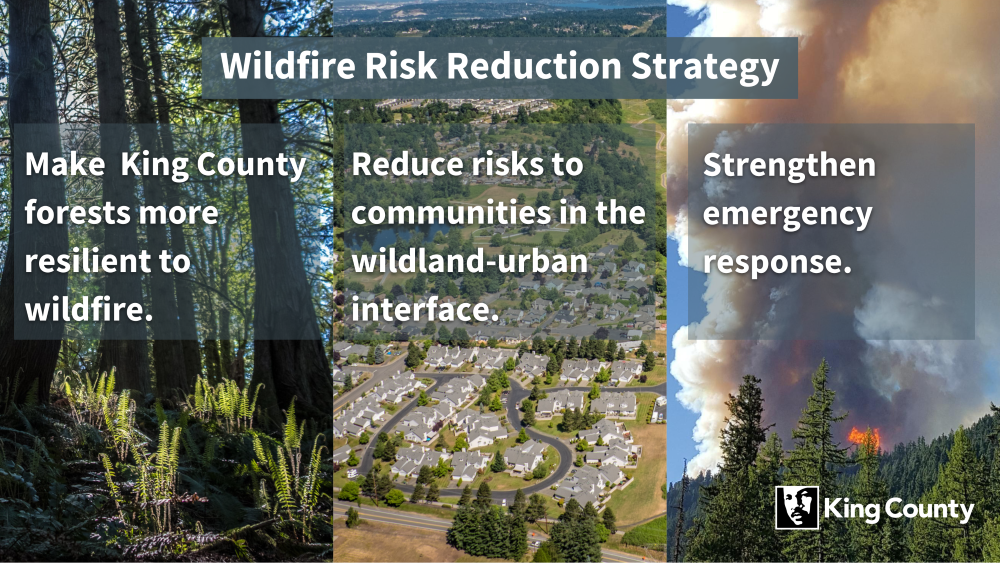 Wildfire Risk Reduction Stragegy: Make King County forests more resilient to wildfire. Reduce risks to communities in the wildland-urban interface. Strengthen emergency response.