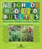 Neighborhood Bullies - click to download