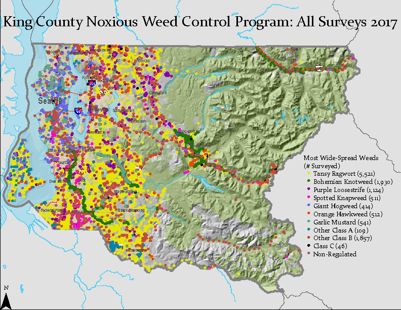 Map of King County Noxious Weed Control Program All Surveys 2017