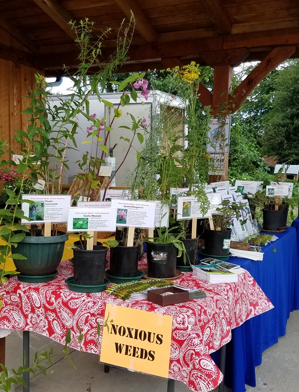 Noxious weeds on display on a table