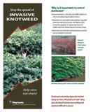Stop the Spread of Invasive Knotweed - click to download