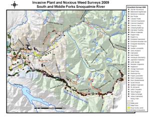 2009 Map of Invasive Plant and Noxious Weed Surveys in the South and Middle Fork Snoqualmie River Basins - click for larger image