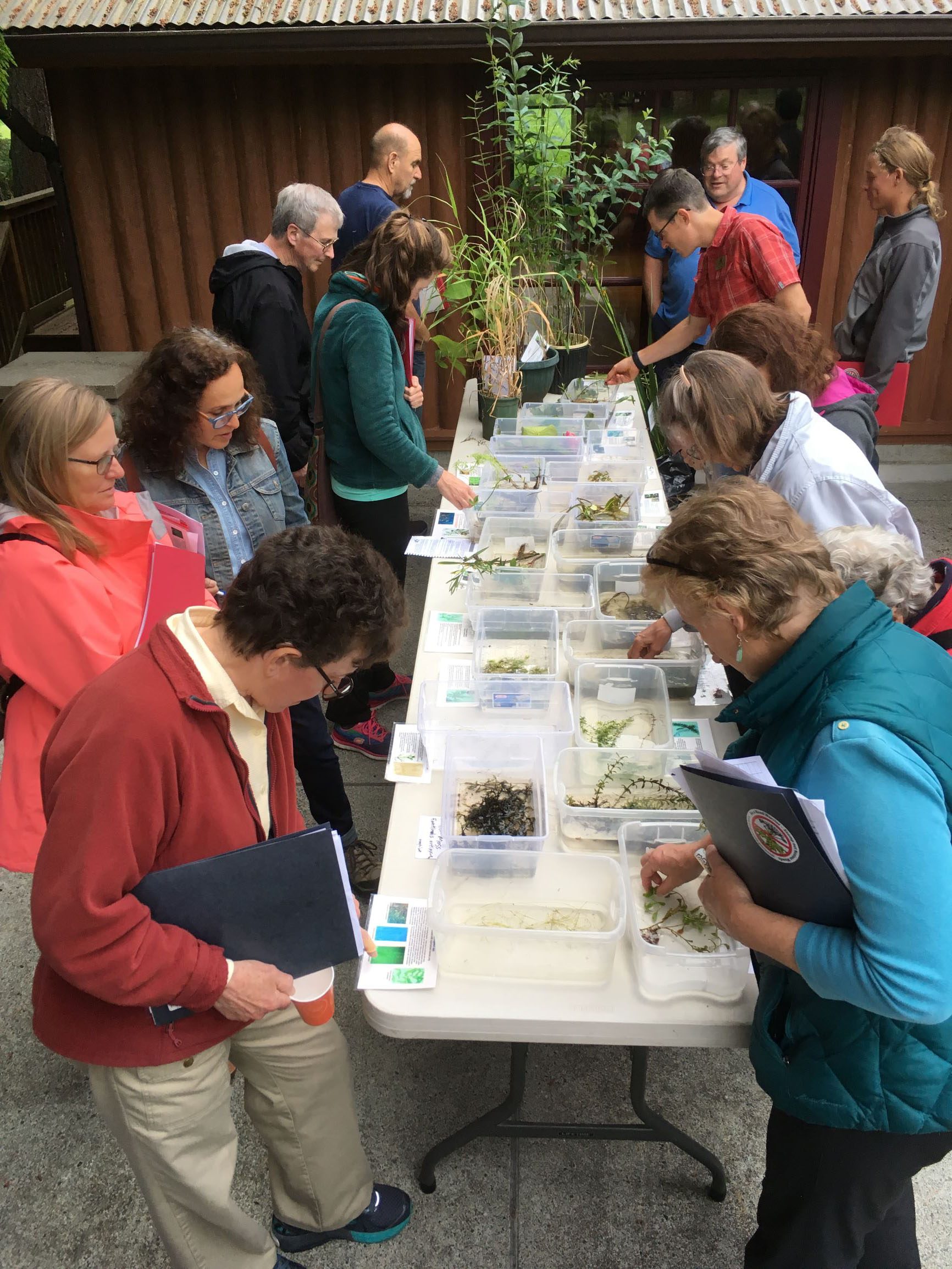 Lake Weed Watcher Training with plant samples