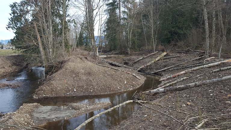 Middle Boise Creek restoration