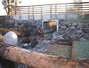 Gold Creek's fish-friendly Box Culvert