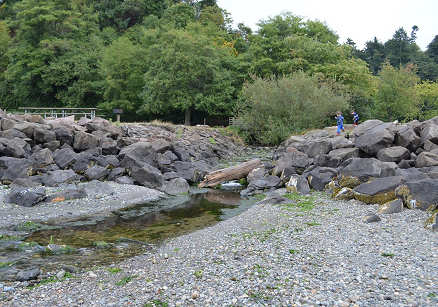 Mouth of McSorley Creek