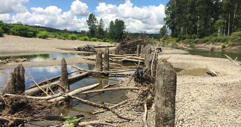 Snoqualmie Piling Removal Project