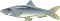 fish image