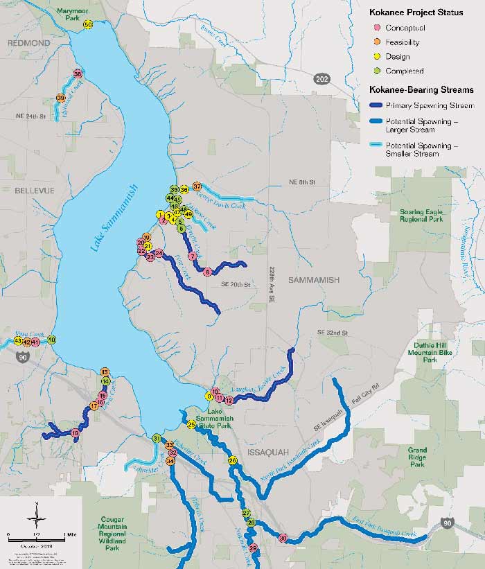 Lake Sammamish kokanee, King County, Washington - King County