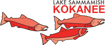 lake_sammamish_kokanee_brochure