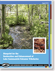 Cover, Blueprint for the Restoration and Enhancement of Lake Sammamish Kokanee Tributaries