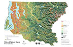 Chinook Status & 1995 Landsat Map