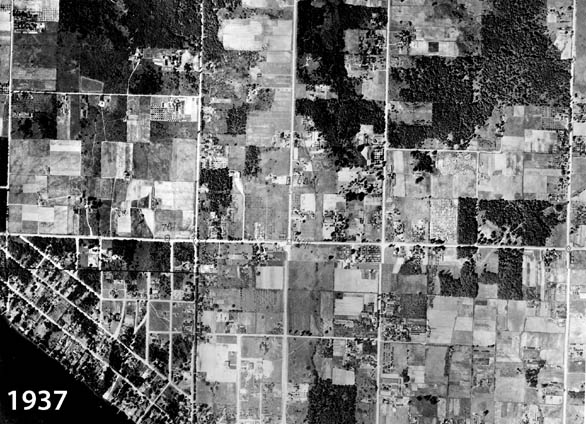 1937 Aerial Photo of Bellevue