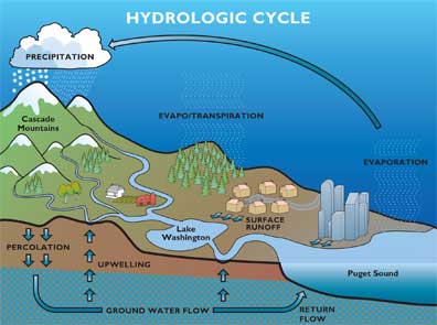 Illustration of the hydrologic cycle as an ecological process