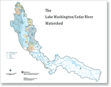 Cedar River - Lake Washington Watershed map