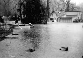 Cedar River Flooding