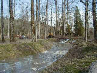 A view up the side channel, with one of the excavators in the background and water entering from the side.