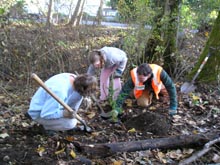 Photo showing volunteers planting trees on Miller Creek in Burien in October 2007