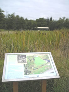Photo showing interpretive sign by Walker Creek at the Cove property in Normandy Park