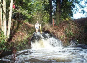Photo of waterfall on Miller Creek on Port of Seattle property