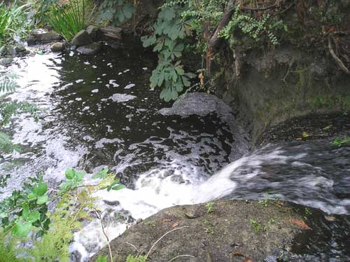 Photo looking downstream at waterfall on Port of Seattle property