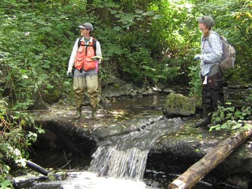 Photo of two women looking at surrounding vegetation while standing on small dam in stream