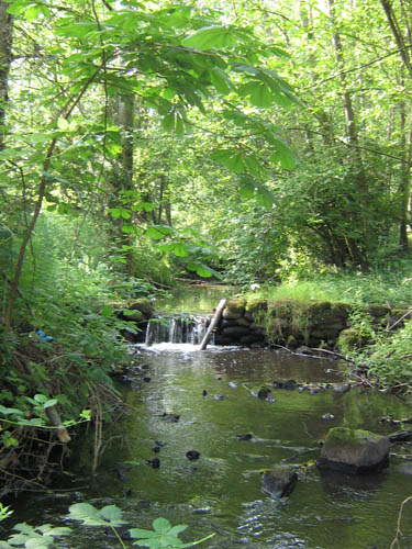 Photo of small waterfall in forested stream created by weir constructed of concrete-filled sandbags