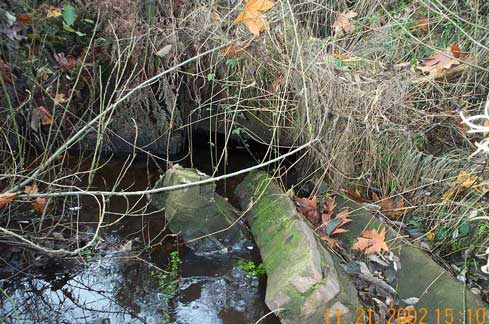 Photo of Walker Creek showing broken retaining wall and weeds obstructing the stream